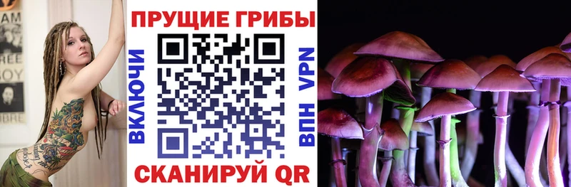 Псилоцибиновые грибы прущие грибы  Богородицк 